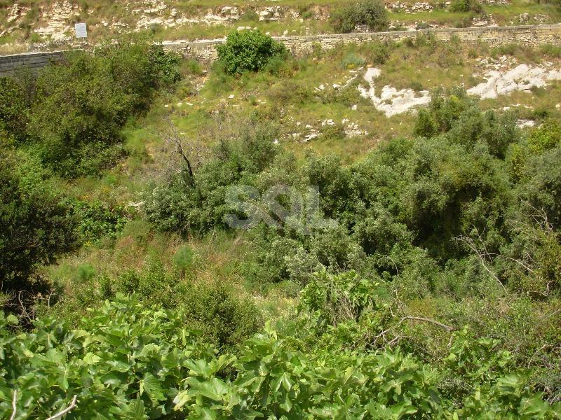 Non-urban Land in Madliena For Sale