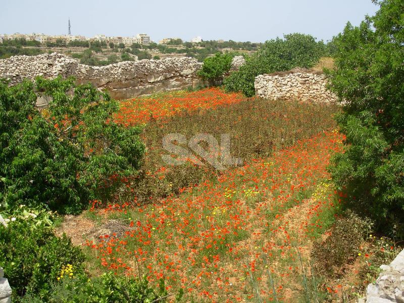 Non-urban Land in Gharghur For Sale