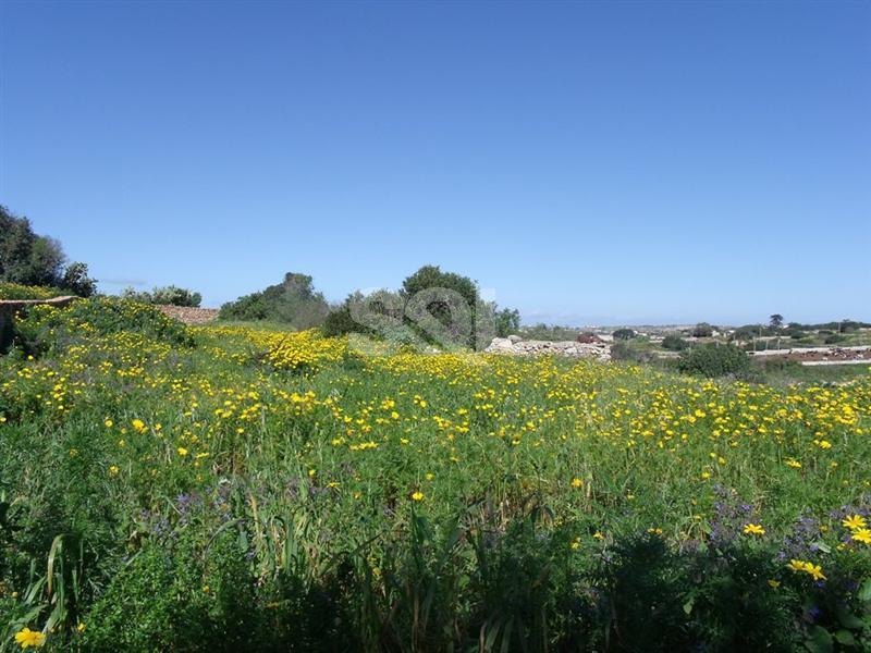Non-urban Land in Dingli For Sale
