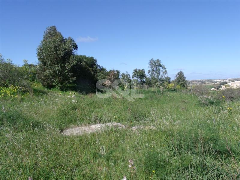 Non-urban Land in Dingli For Sale