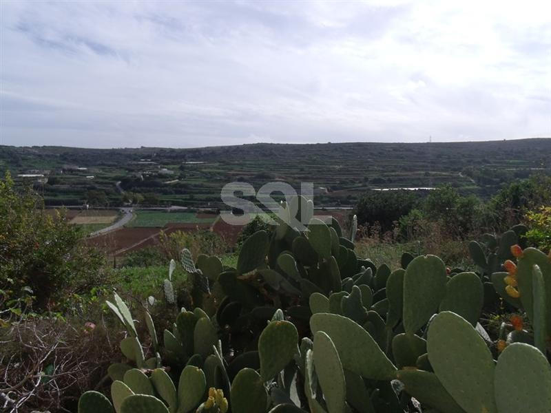 1st Floor Maisonette in Mizieb To Rent