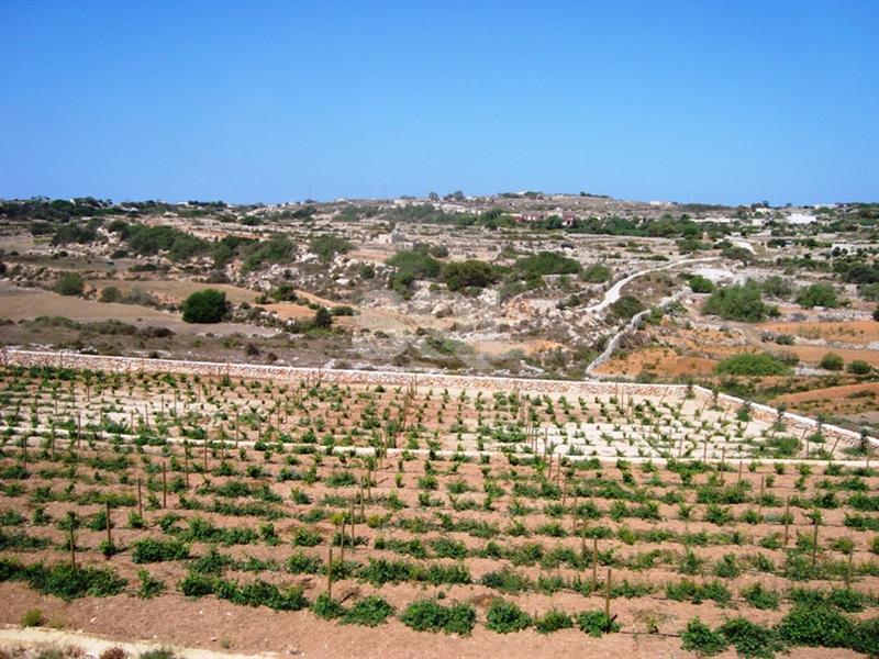 Detached Villa in Rabat For Sale