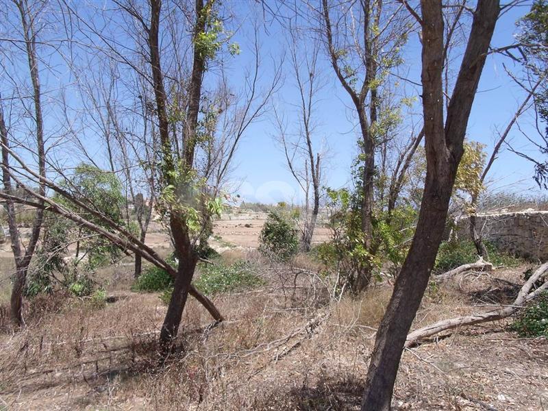 Non-urban Land in Marsaxlokk For Sale