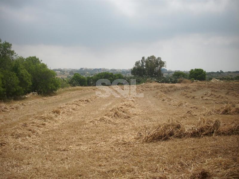 Non-urban Land in Attard For Sale