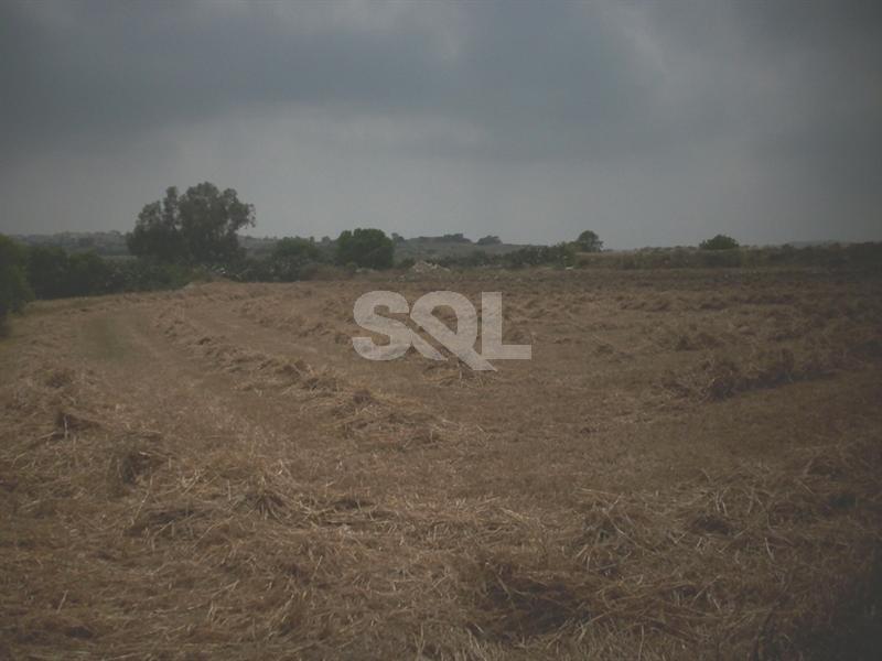 Non-urban Land in Attard For Sale