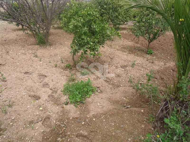 Non-urban Land in Mosta For Sale