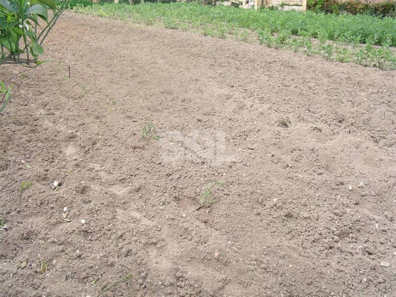 Non-urban Land in Mosta For Sale