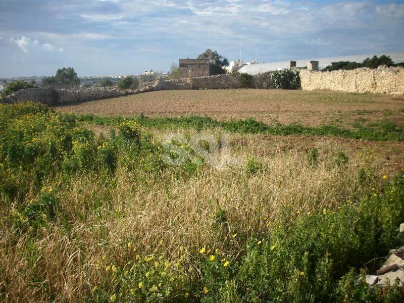 Farmhouse in Zabbar To Rent