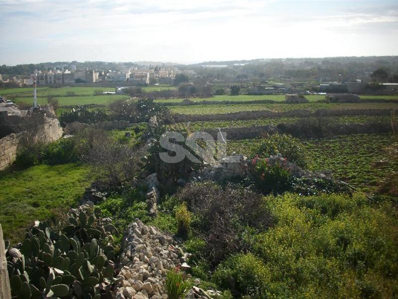 Farmhouse in Zabbar To Rent