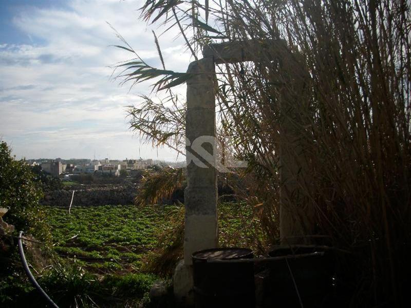 Farmhouse in Zabbar To Rent