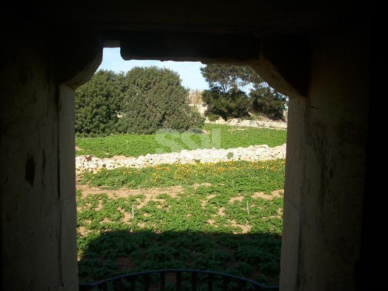 Farmhouse in Zabbar To Rent