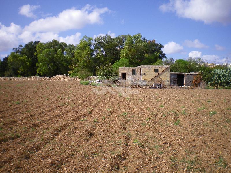 Non-urban Land in Attard For Sale