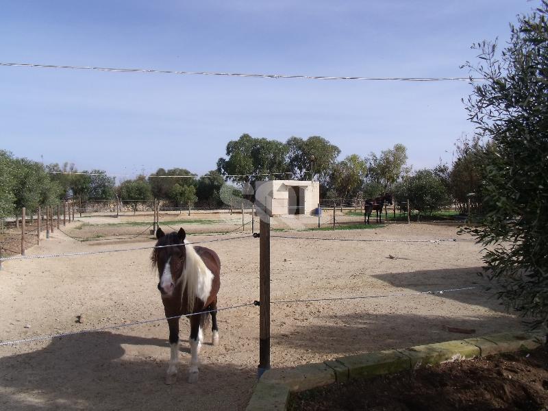 Farmhouse in Zabbar For Sale