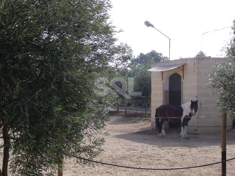 Farmhouse in Zabbar For Sale