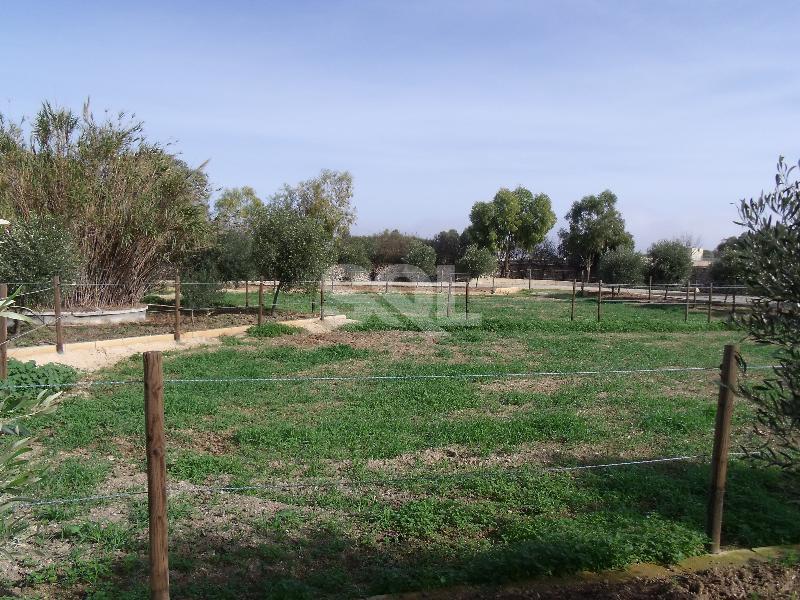 Farmhouse in Zabbar For Sale
