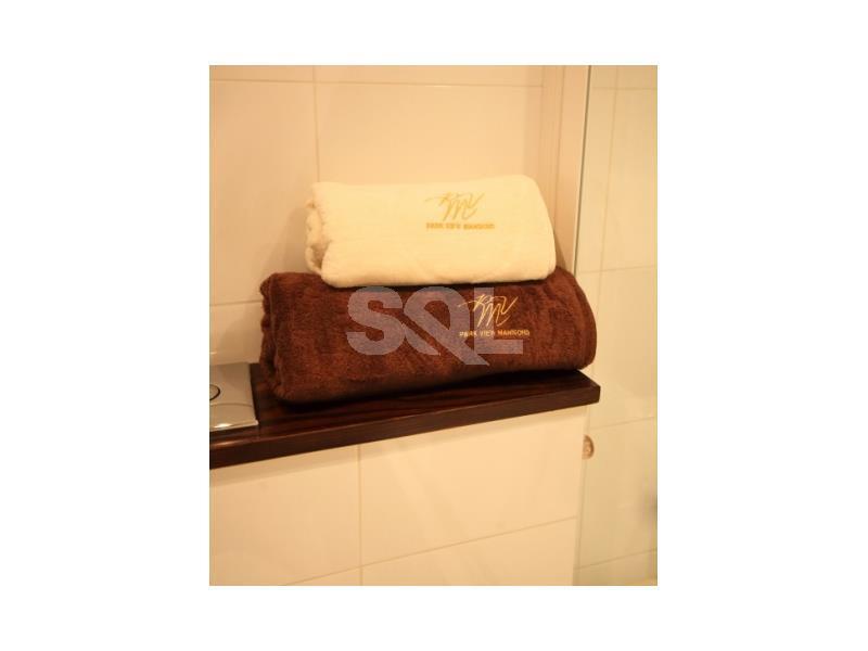 Apartment in Ta' L-Ibrag To Rent