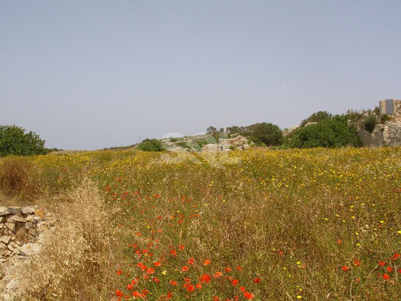 Non-urban Land in Gharghur For Sale