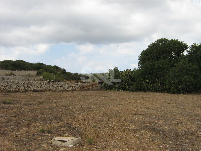 Farmhouse in Mtarfa For Sale