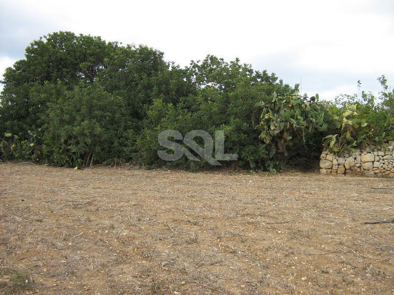 Farmhouse in Mtarfa For Sale