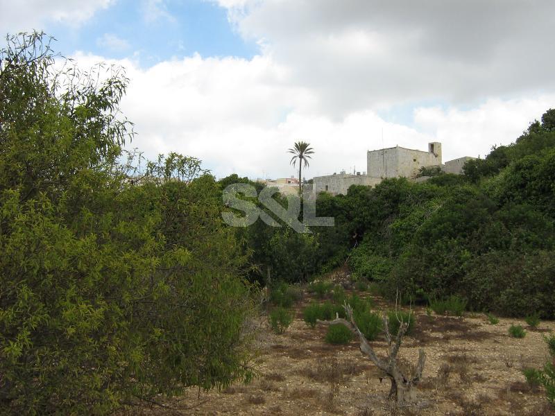 Farmhouse in Mtarfa For Sale