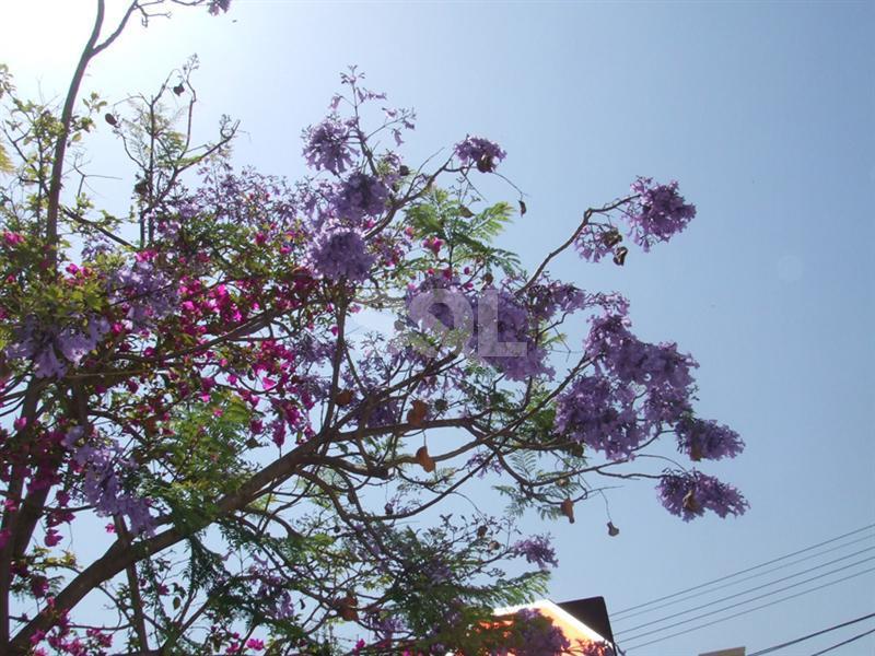 Villa in Kappara To Rent