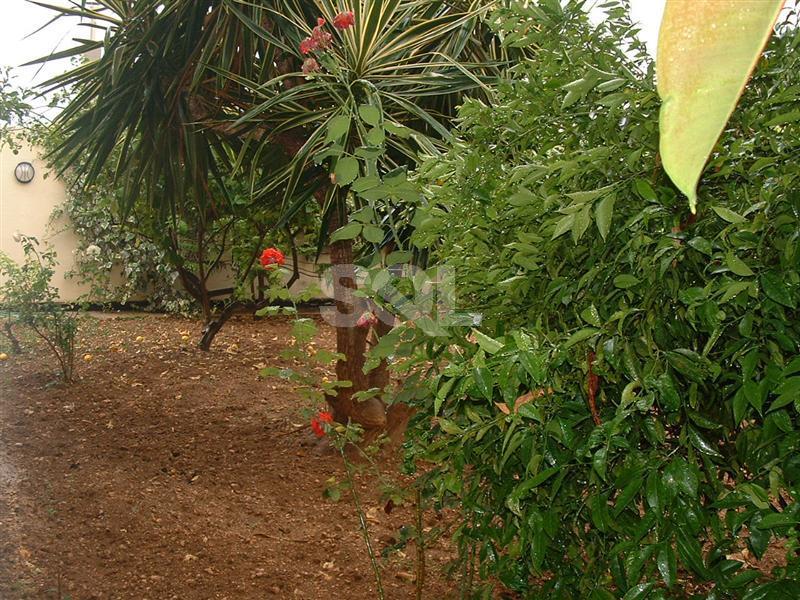 Bungalow in Attard To Rent