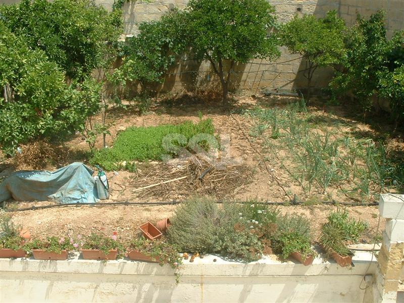 Villa in Birkirkara To Rent