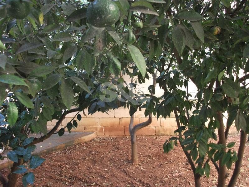 Maisonette in Swieqi To Rent