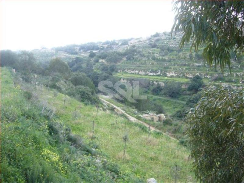 Maisonette in Madliena For Sale / To Rent