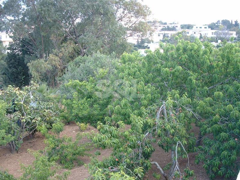 Villa in Mellieha To Rent