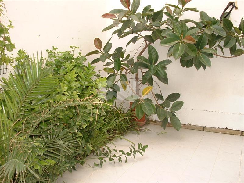 Terraced House in Naxxar To Rent