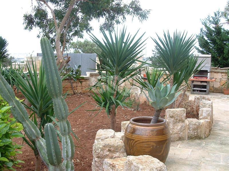 Farmhouse in Bidnija To Rent