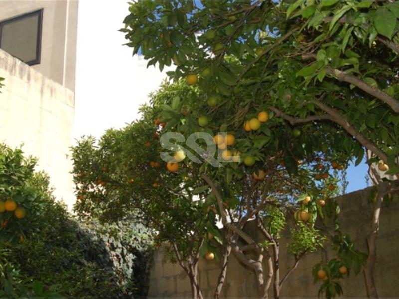 Bungalow in Lija To Rent