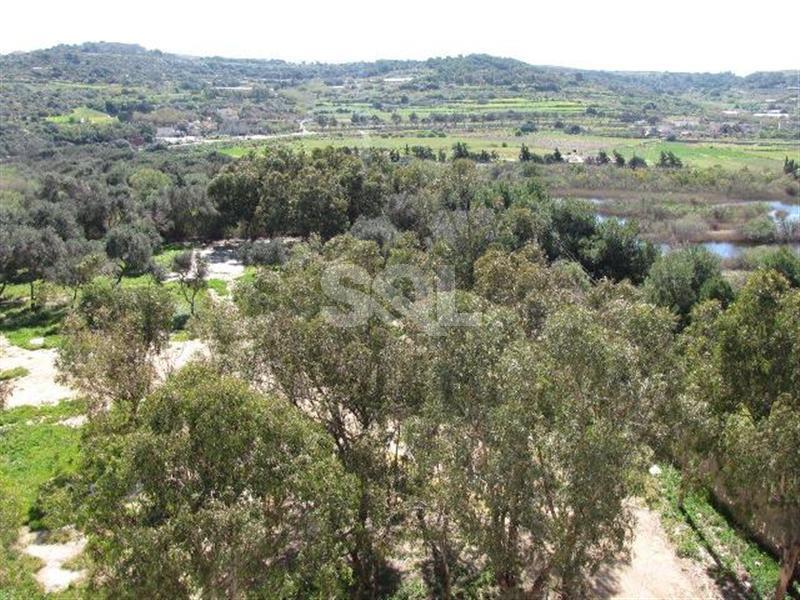 Apartment in Xemxija To Rent