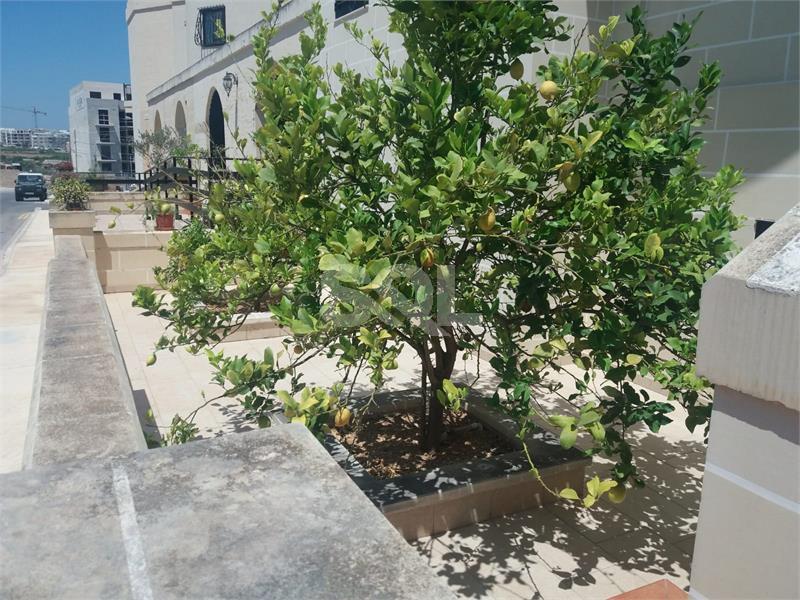 Maisonette in Mosta To Rent