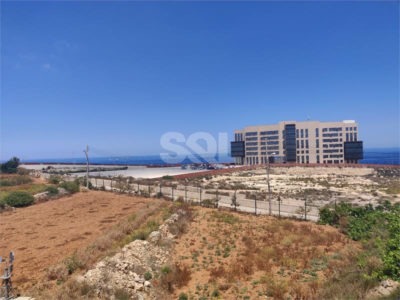 Apartment in Kalkara To Rent