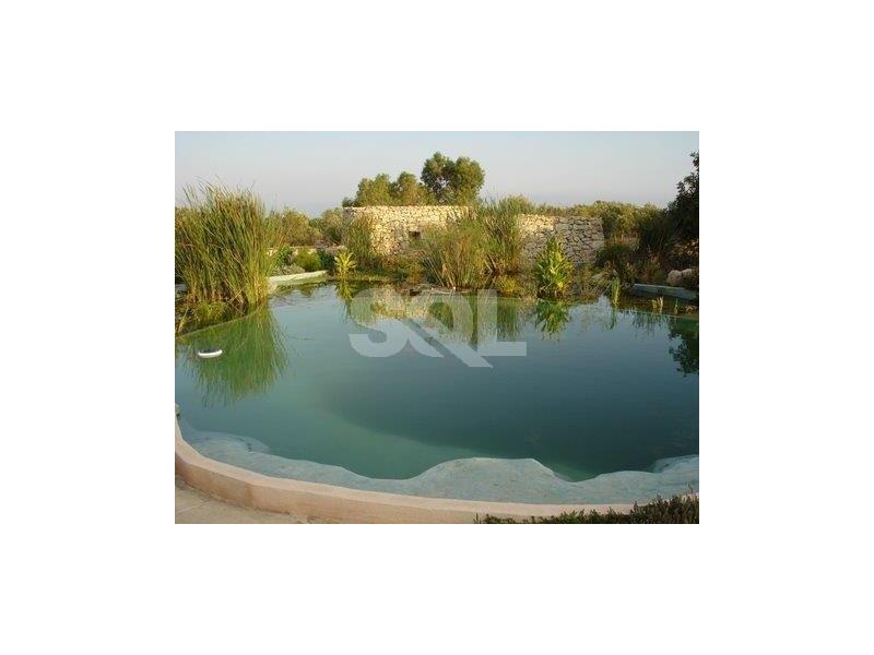 Farmhouse in Zurrieq To Rent