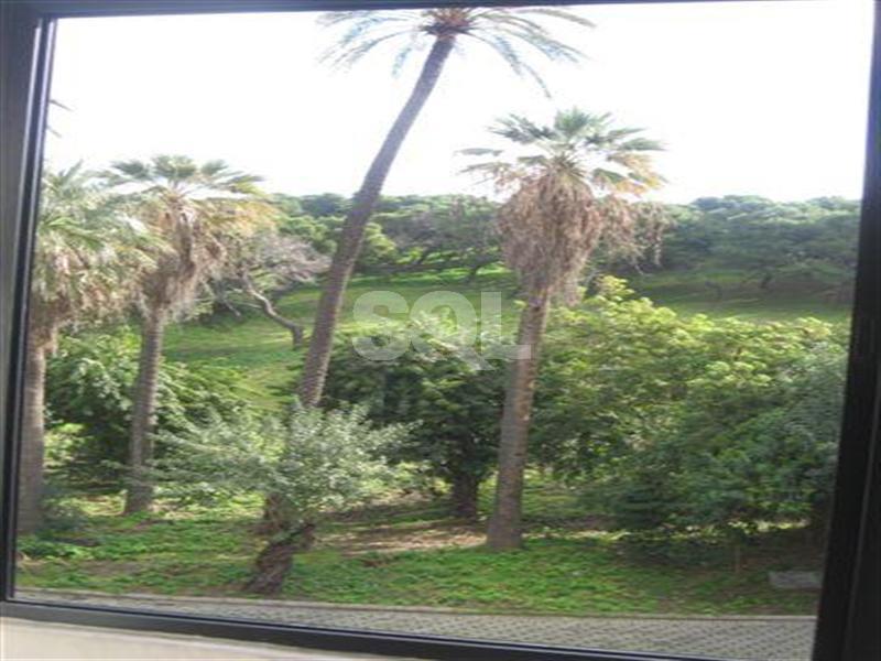 Apartment in Pieta To Rent