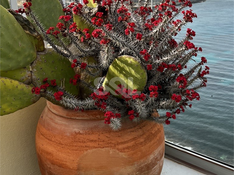 Penthouse in Sliema To Rent