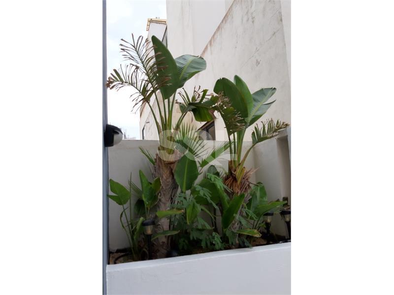 Duplex Penthouse in Sliema To Rent