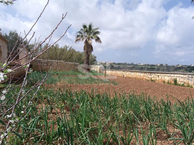 Detached Villa in Bidnija To Rent