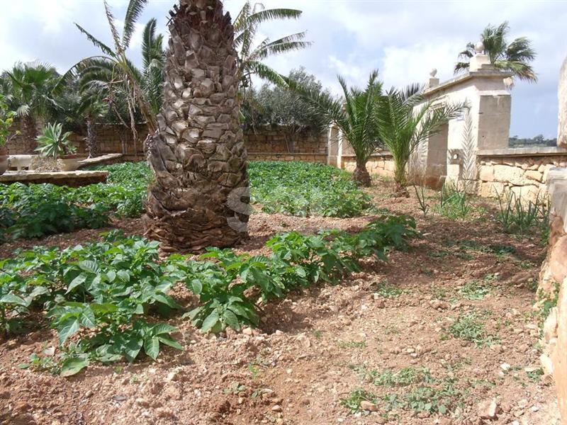 Detached Villa in Bidnija To Rent