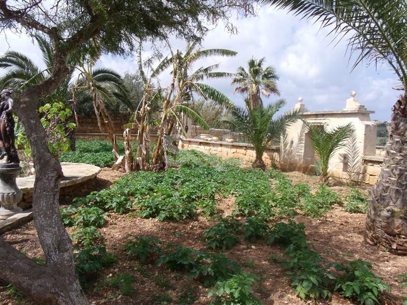 Detached Villa in Bidnija To Rent