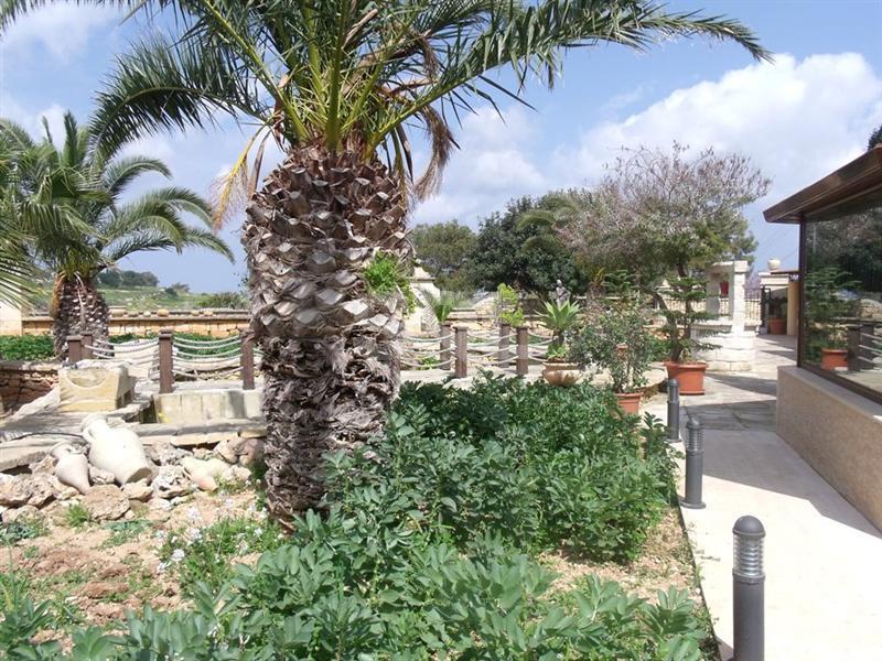 Detached Villa in Bidnija To Rent