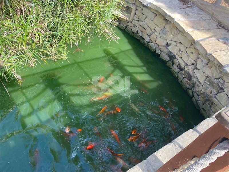 Detached Villa in Bidnija To Rent