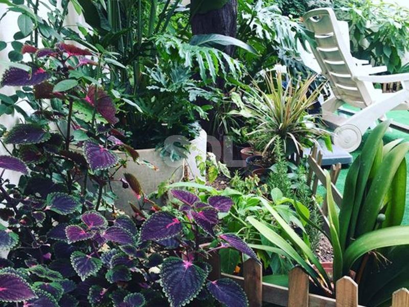 Townhouse in Hamrun For Sale / To Rent