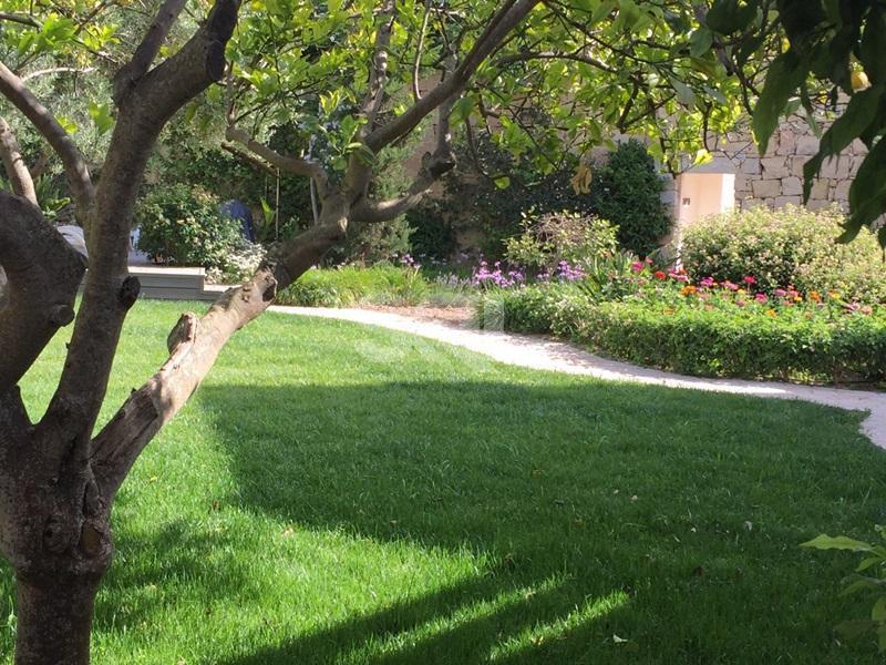 House of Character in Siggiewi To Rent